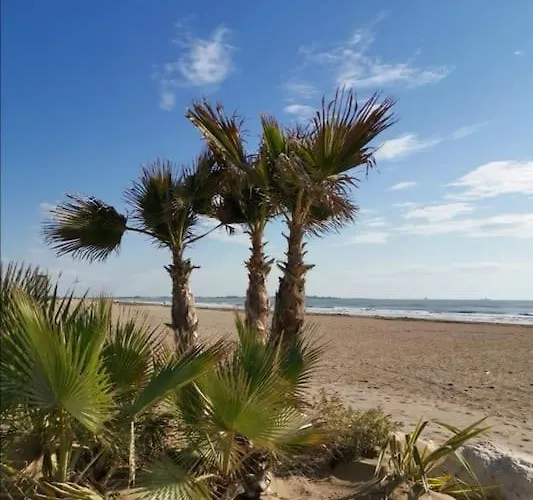 Liberty At Lido Lägenhet